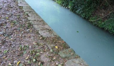 pourquoi le Robec a pris une couleur laiteuse pendant plusieurs heures ?