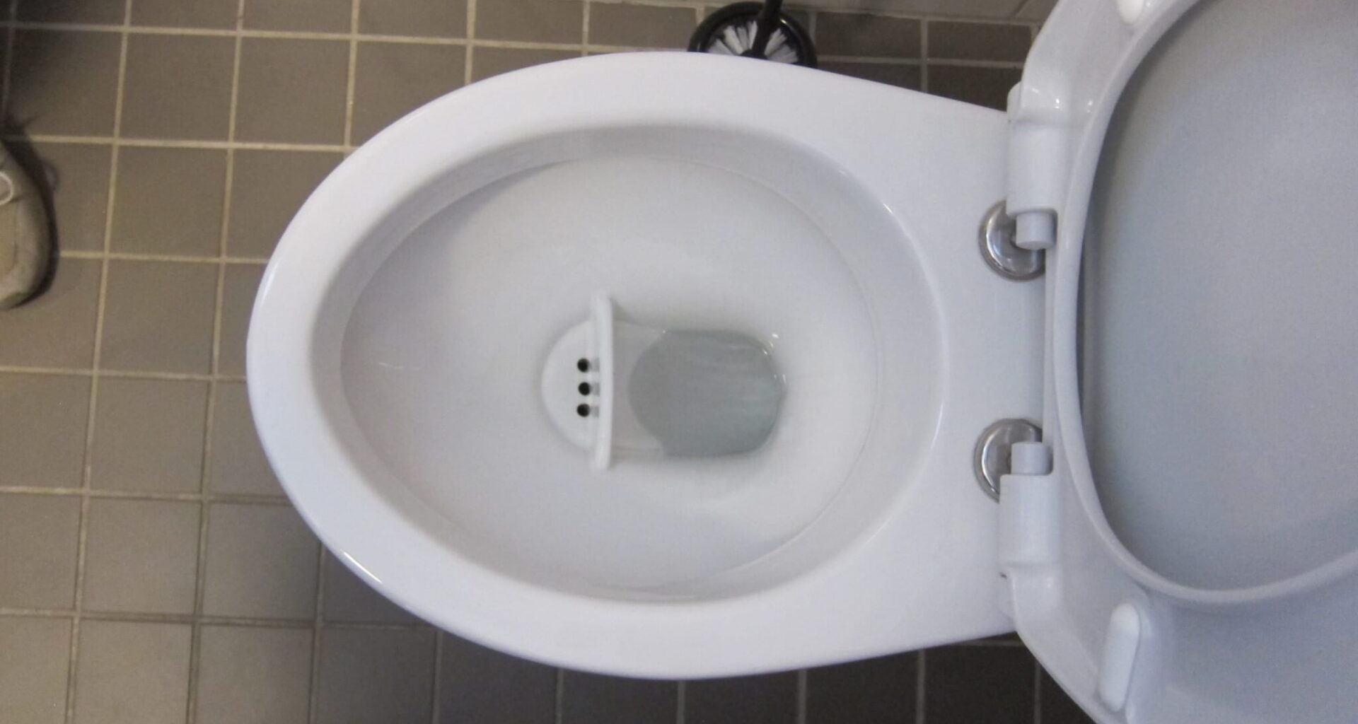 Collecter l'urine séparément pour faire de l'engrais et réduire la pollution : un nouveau défi en Ile-de-France