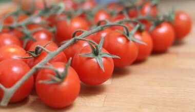 Tomates cerises marocaines contaminées au métal : l'Europe interdit l'importation