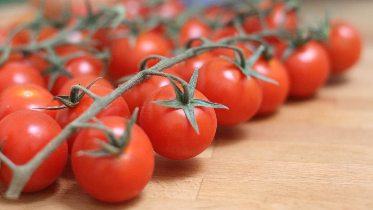 Tomates cerises marocaines contaminées au métal : l'Europe interdit l'importation