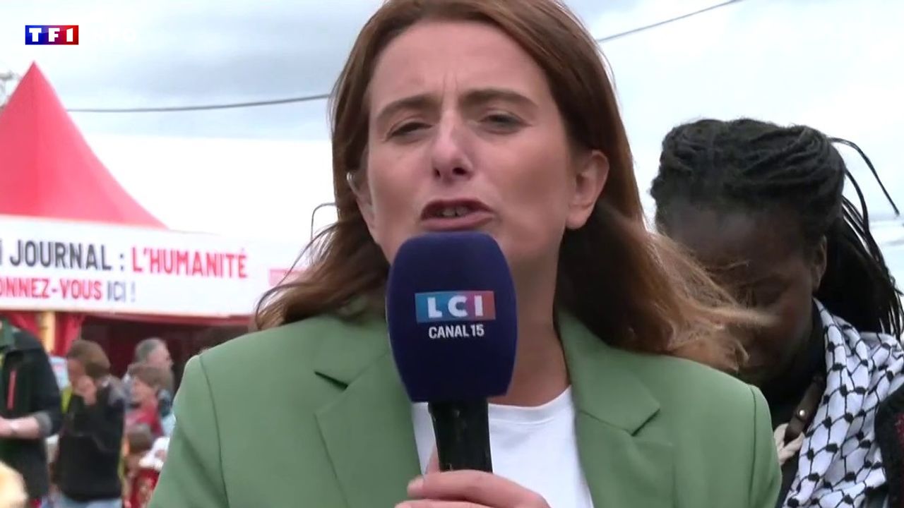 EN DIRECT - "On ne va pas faire de conseil des ministres avec le gouvernement Lecornu", assure Marine Tondelier sur LCI