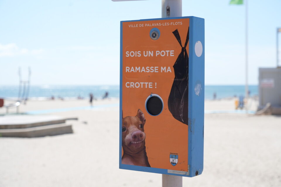 Il existe des espaces canins situés sur le parking entre le Miami et la villa Saint-Pierre, le parc des oliviers et le bord des étangs