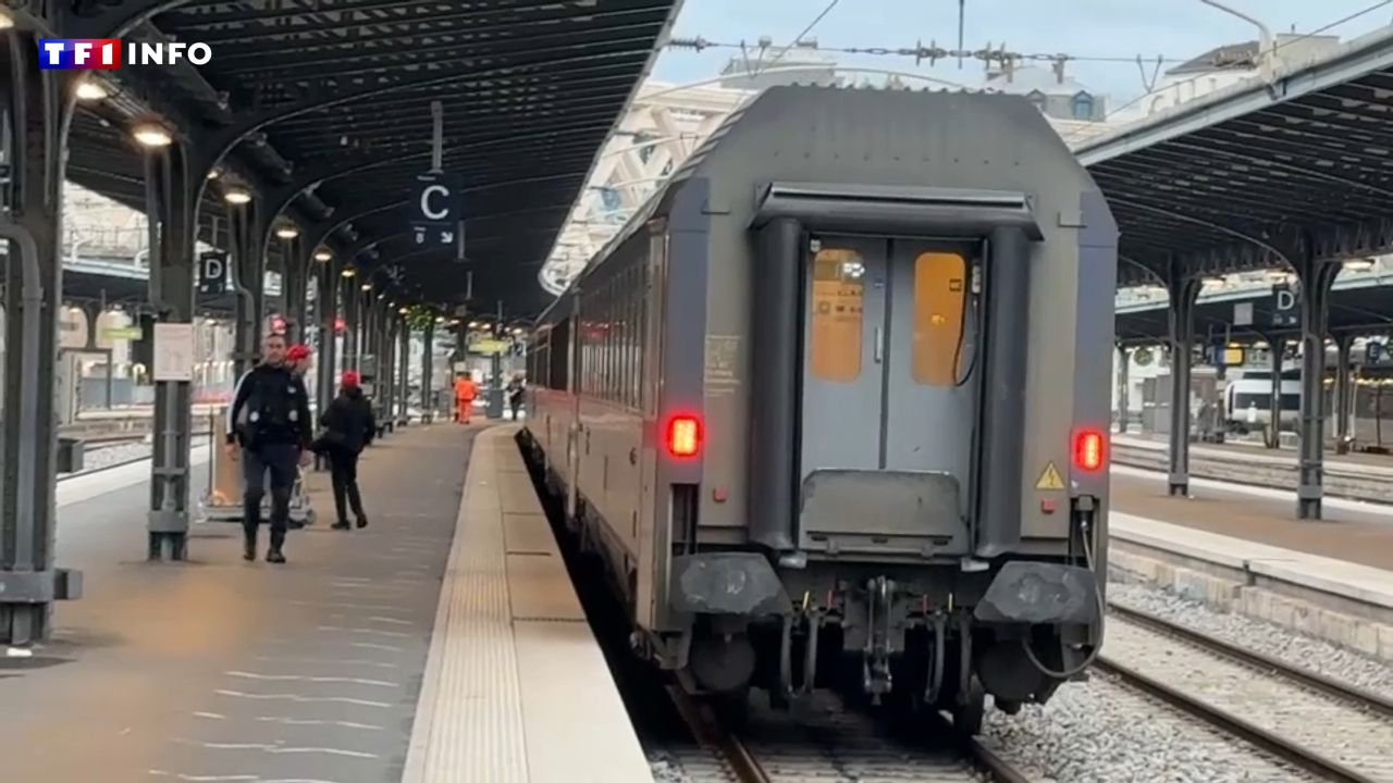 Trains de nuit Paris-Berlin et Paris-Vienne : à quoi est due leur mort annoncée ?