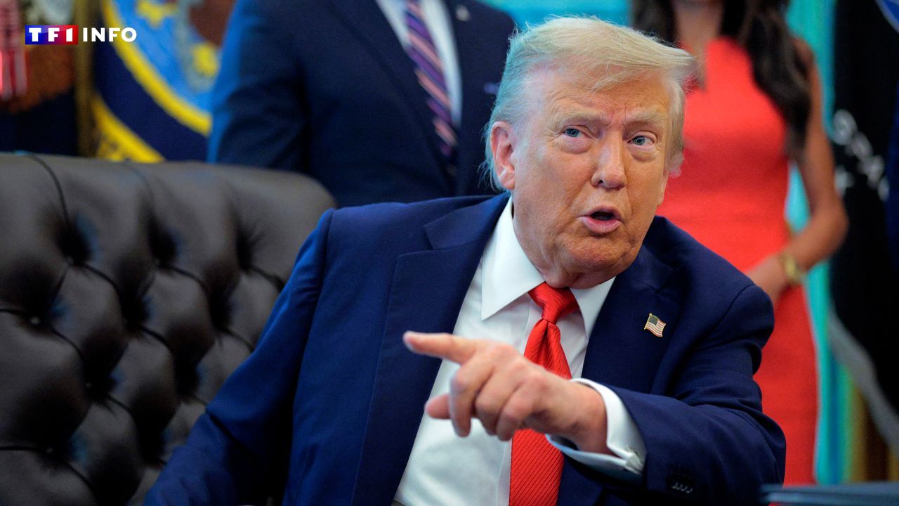 Russie : Trump prêt à des sanctions à condition que les pays de l'Otan cessent d'acheter du pétrole à Moscou