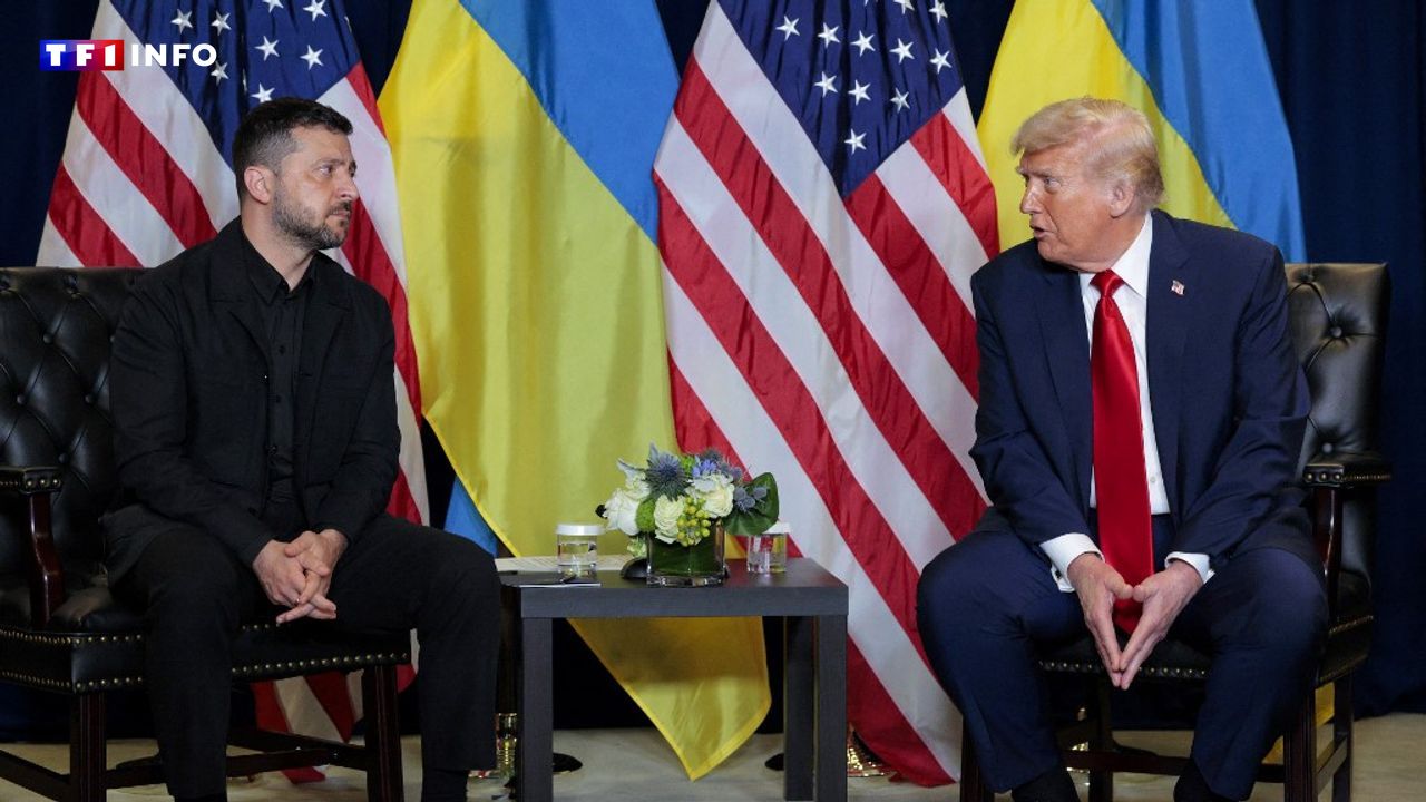 Guerre en Ukraine : Trump affirme désormais que Kiev peut "aller plus loin" que reprendre son territoire perdu