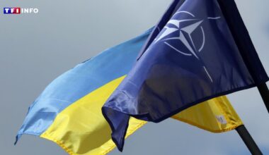 EN DIRECT - Intrusion d'un drone en Roumanie : Moscou dénonce une "provocation" de Kiev