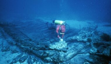 la captivante histoire du "Grand Saint-Antoine", à l'origine de la peste à Marseille