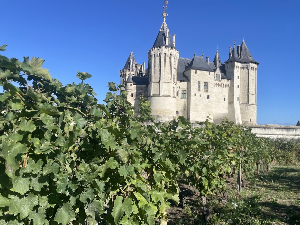 Vendredi 12, samedi 13 et dimanche 14 septembre : des idées de sorties pour ce week-end en Saumurois et alentours