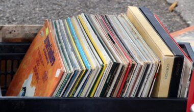 deux jours pour chiner des pépites musicales