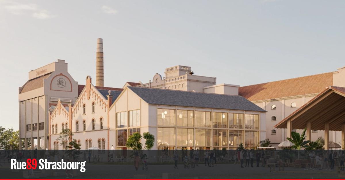Entre logements et commerces, l'avenir de la brasserie Schutzenberger se précise