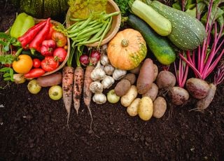 Voici ce qu'il faut faire au jardin avant l'arrivée de la pluie et du froid !