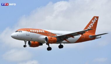 Crash aérien évité à Nice : "Il va falloir améliorer le système", affirme Gérard Feldzer, expert en aéronautique