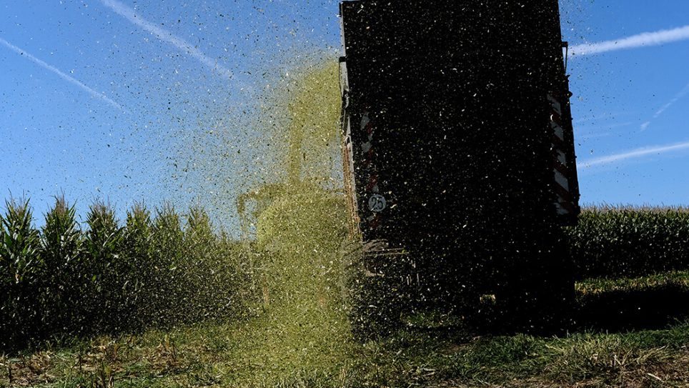 Damien Mousseau, Une odyssée en terre agricole