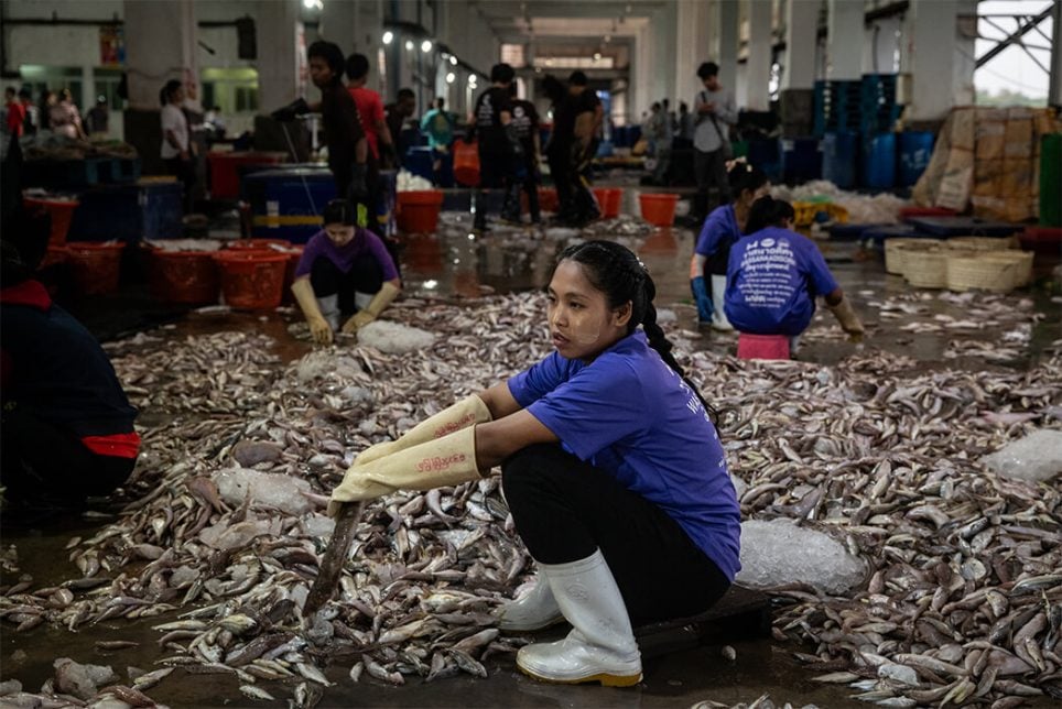 Des dockers birmans trient différentes espèces de poissons après le déchargement d’un navire thaïlandais à Ranong, en Thaïlande, le jeudi 23 janvier 2025.