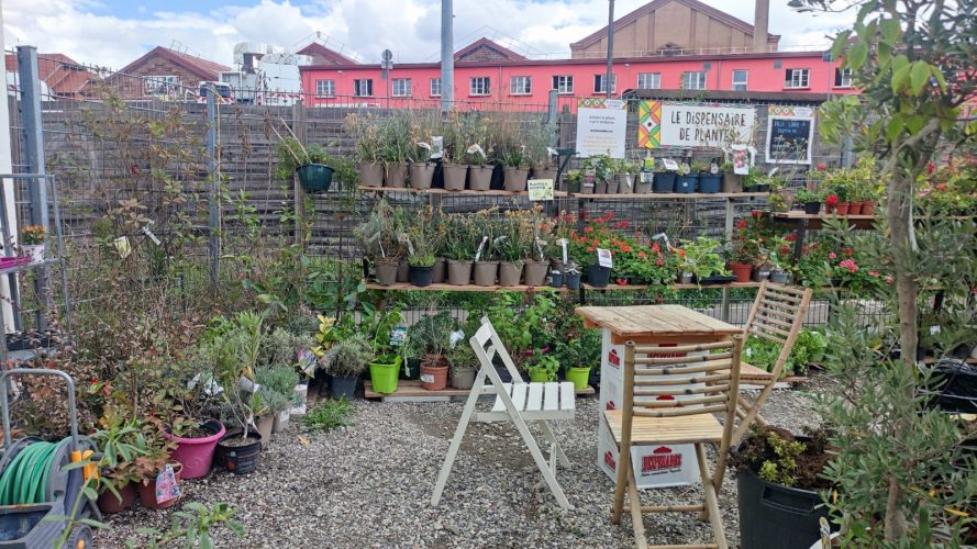 Wagon Souk Dispensaire des plantes