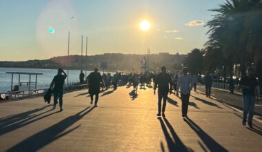 Très présent à Antibes, le chikungunya peut-il aussi infester la ville de Nice ?