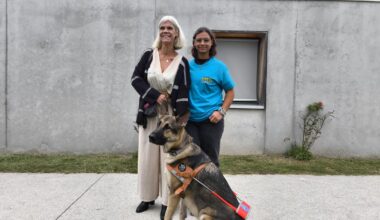 près de Bordeaux, l’association des chiens guides veut attirer de nouveaux maîtres