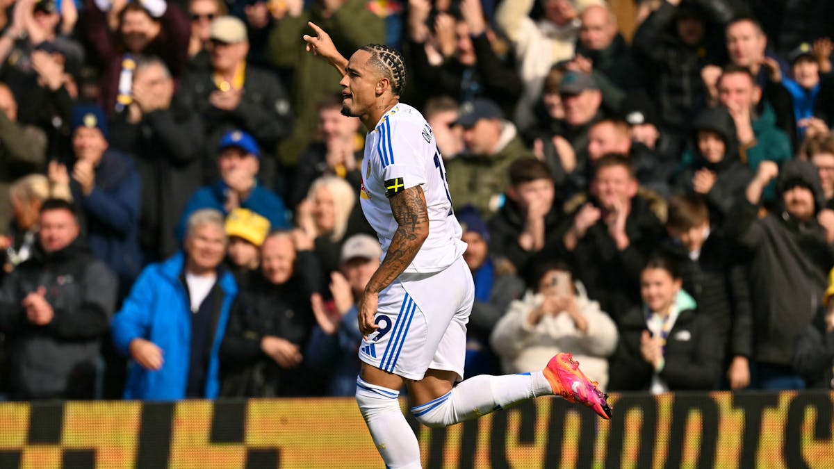 Football: Okafor se rappelle au bon souvenir de Yakin