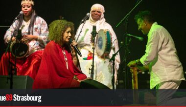 Strasbourg. Jazz, amours cachées et fraternités toxiques : novembre va secouer