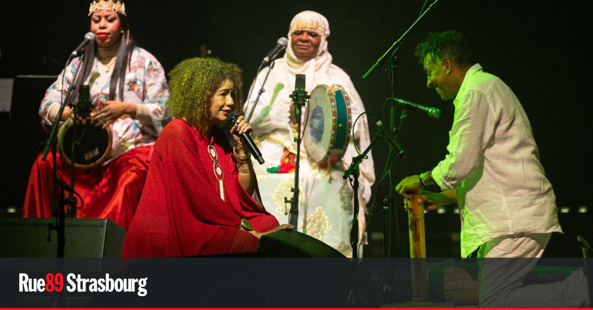 Strasbourg. Jazz, amours cachées et fraternités toxiques : novembre va secouer