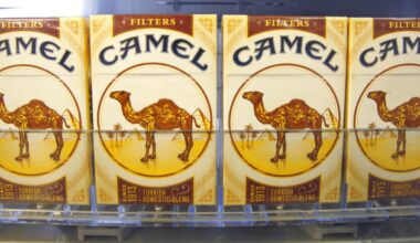 L’UE prévoit d’interdire les cigarettes à filtre, selon un document confidentiel