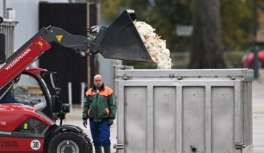Grippe aviaire : un demi-million d'oiseaux et volailles abattus en Allemagne, craintes en France et aux Etats-Unis