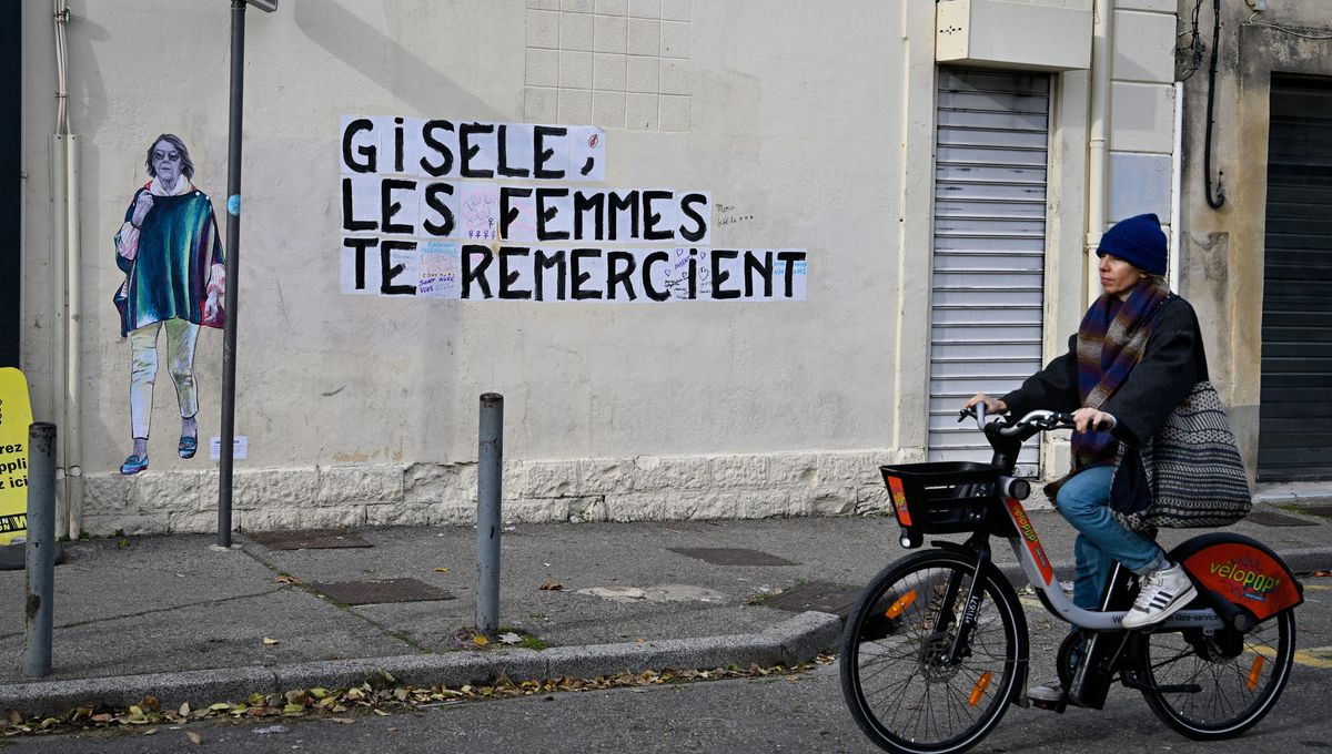 Des anthropologues racontent leur enquête pendant le procès des viols de Mazan dans un livre