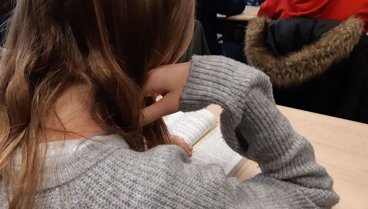 26 élèves de terminale de Valence participent au prix Goncourt des lycéens