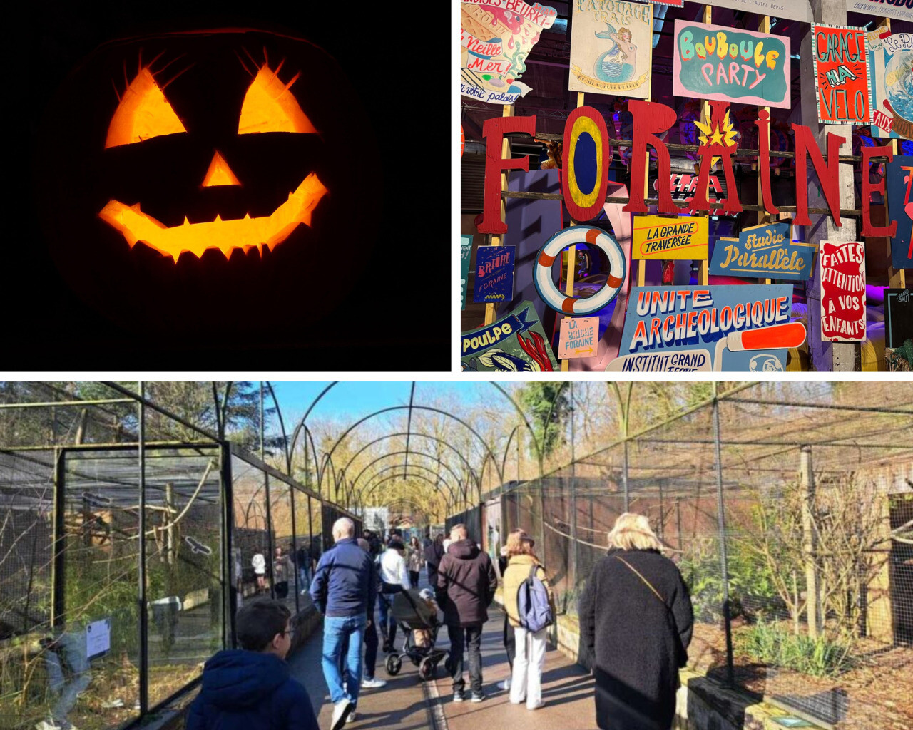 Brocantes, zoo, animations d'Halloween, expos... Que faire du côté de Lille le dimanche 26 octobre ?
