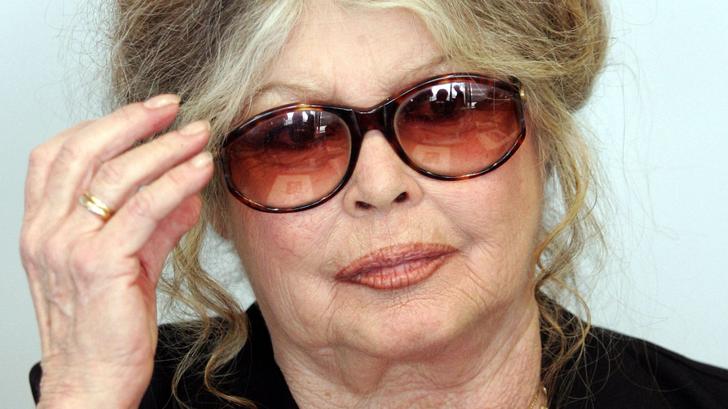 Brigitte Bardot, ici en 2006, continue de défendre la cause animale à 91 ans, après avoir tiré un trait sur sa carrière d’actrice.