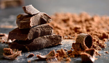 Le salon du chocolat et de la gourmandise, c'est ce week-end à Tourcoing !