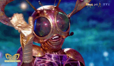 Dans « Mask Singer » sur TF1, voici la célébrité éliminée qui se cachait sous le costume du Scarabée