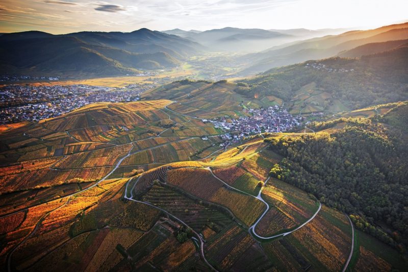 civa + conseil vins alsace