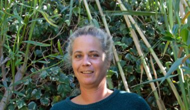 L’illustratrice Stéphanie Stickel signe un livre foisonnant et poétique sur Port-la-Nouvelle