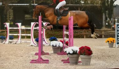 Une jeune cavalière lot-et-garonnaise veut réaliser un rêve en participant à un concours équestre à Lyon