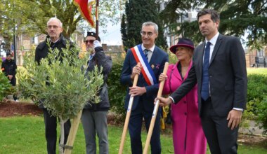 un olivier planté en hommage à Ilan Halimi