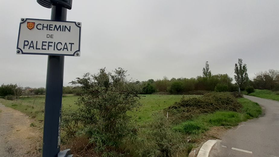 Le quartier Paleficat, au nord de Toulouse, est encore très boisé.