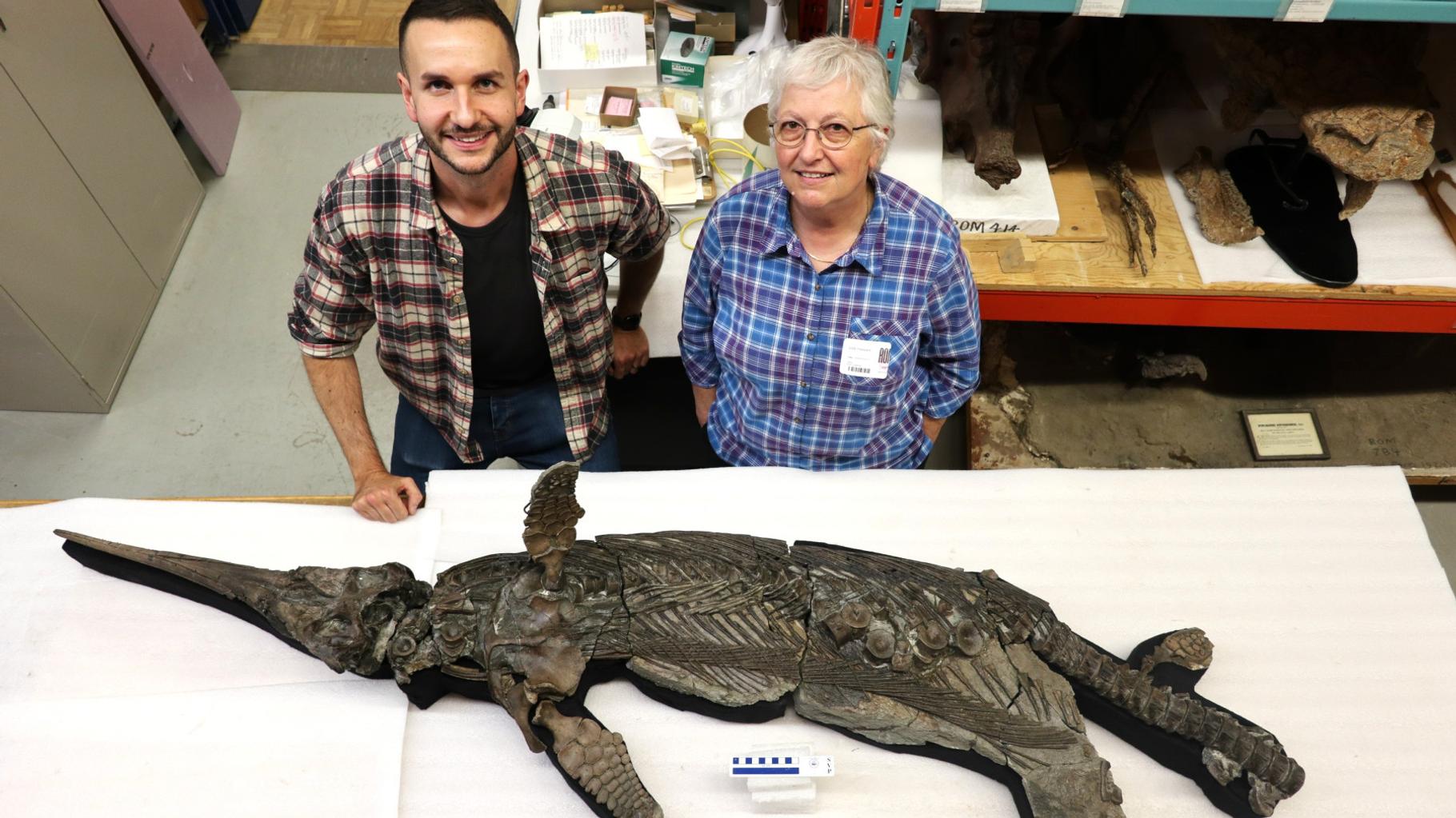 Ce fossile de « dragon épée du Dorset », découvert dans le sud de l’Angleterre, est unique