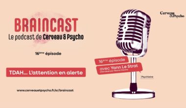 Braincast #16 : L’attention en alerte, avec Yann Le Strat