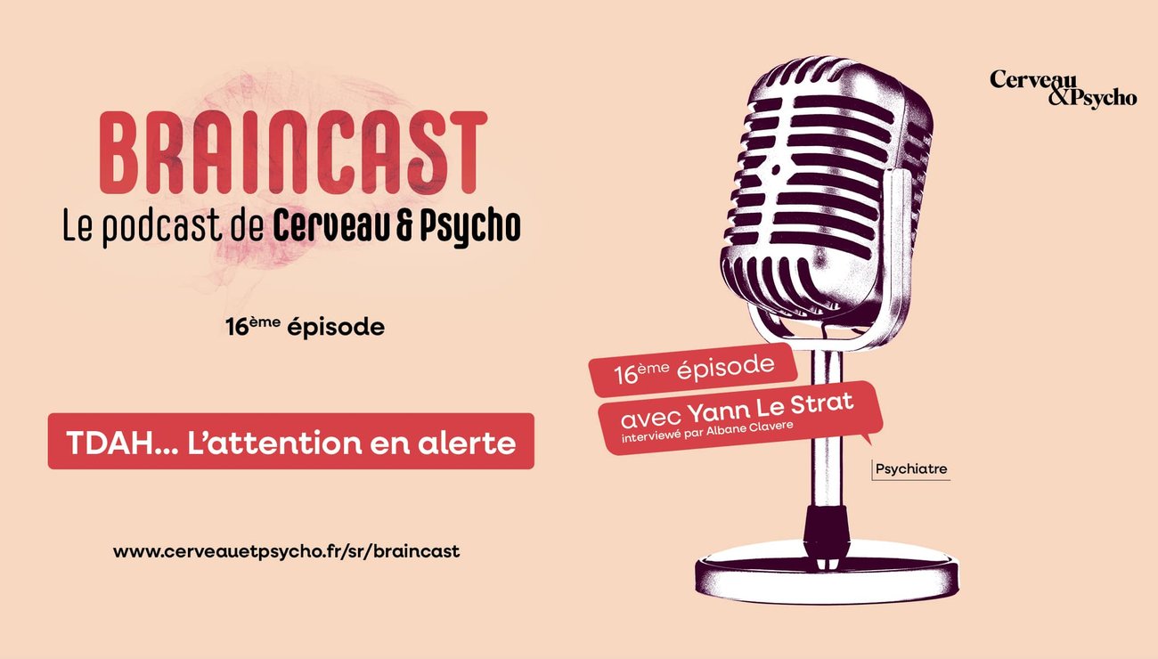 Braincast #16 : L’attention en alerte, avec Yann Le Strat