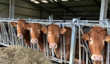 Meurthe-et-Moselle. En automne, les fermes ouvrent leurs portes
