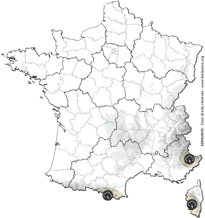 Statistiques d'activité électrique sur la France