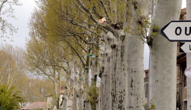 Hausse de 600 € en moyenne en trois ans : pourquoi cette commune de l’Aude a une taxe foncière deux fois plus élevée que les autres villes de France