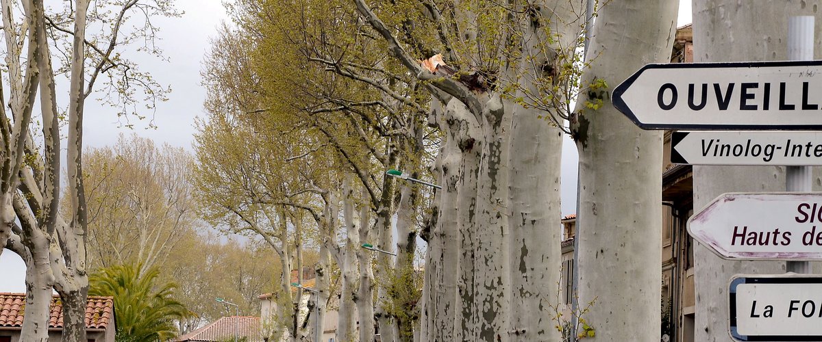 Hausse de 600 € en moyenne en trois ans : pourquoi cette commune de l’Aude a une taxe foncière deux fois plus élevée que les autres villes de France