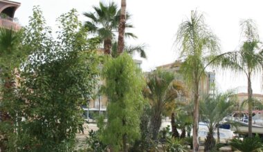 Une oasis végétale au milieu Port-Ariane