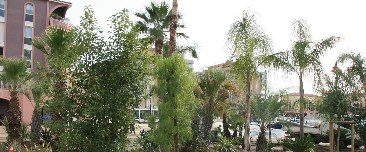 Une oasis végétale au milieu Port-Ariane