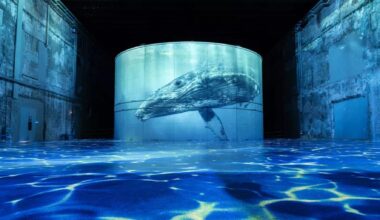 5 expos à voir en famille pendant les vacances de la Toussaint à Paris, Toulouse et Bordeaux