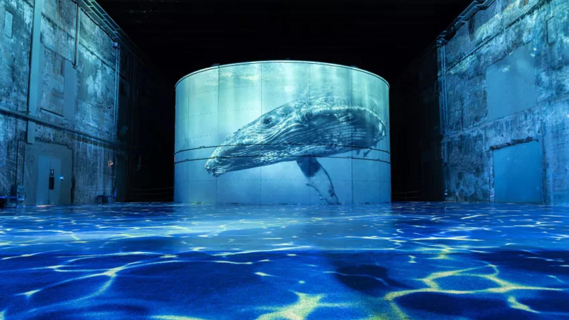 5 expos à voir en famille pendant les vacances de la Toussaint à Paris, Toulouse et Bordeaux