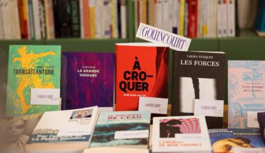 « Pendant longtemps, les thématiques queer n’ont pas été mises en avant dans les livres, voire ont été carrément cachées »
