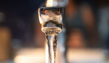 La consommation de l'eau du robinet interdite pour les personnes sensibles dans un deuxième village des Vosges à cause d'une pollution aux PFAS
